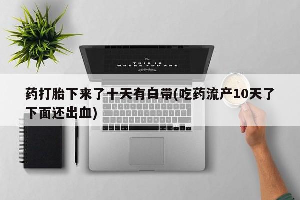 admin 第309页