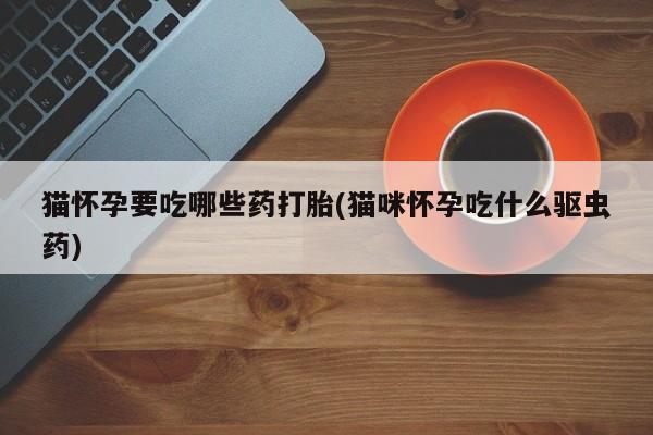 打胎药专卖微信方式猫怀孕要吃哪些药打胎(猫咪怀孕吃什么驱虫药)