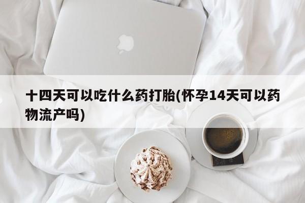 打胎药专卖微信方式十四天可以吃什么药打胎(怀孕14天可以药物流产吗)